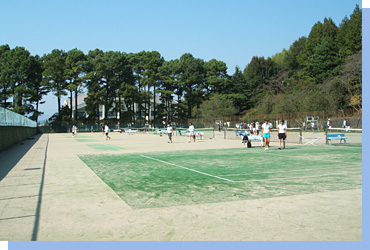 静岡大学　硬式庭球部